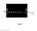 Fig. 03 - METHOD FOR ISOLATING DNA