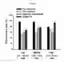 Fig. 27 - NANOSTRUCTURE FOR DETECTING CELL-FREE DNA USING CONDUCTIVE POLYMER AND THE USE THEREOF