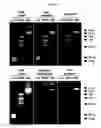 Fig. 28 - NANOSTRUCTURE FOR DETECTING CELL-FREE DNA USING CONDUCTIVE POLYMER AND THE USE THEREOF
