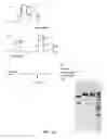 Fig. 15 - Compositions and methods of nucleic acid-targeting nucleic acids