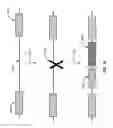 Fig. 20 - Compositions and methods of nucleic acid-targeting nucleic acids