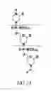 Fig. 02 - Methods for treating progeroid laminopathies using oligonucleotide analogues targeting human LMNA