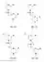 Fig. 05 - Methods for treating progeroid laminopathies using oligonucleotide analogues targeting human LMNA