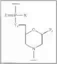 Fig. 137 - Methods for treating progeroid laminopathies using oligonucleotide analogues targeting human LMNA