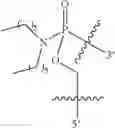 Fig. 42 - Methods for treating progeroid laminopathies using oligonucleotide analogues targeting human LMNA