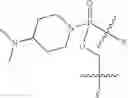 Fig. 48 - Methods for treating progeroid laminopathies using oligonucleotide analogues targeting human LMNA