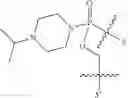 Fig. 50 - Methods for treating progeroid laminopathies using oligonucleotide analogues targeting human LMNA