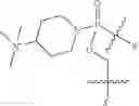 Fig. 84 - Methods for treating progeroid laminopathies using oligonucleotide analogues targeting human LMNA
