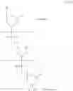 Fig. 90 - Methods for treating progeroid laminopathies using oligonucleotide analogues targeting human LMNA