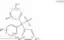 Fig. 95 - Methods for treating progeroid laminopathies using oligonucleotide analogues targeting human LMNA