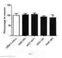 Fig. 14 - VASCULAR RE-MODELLING