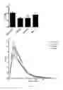 Fig. 17 - VASCULAR RE-MODELLING