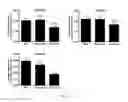 Fig. 24 - VASCULAR RE-MODELLING
