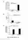 Fig. 09 - Methods and compositions for inhibiting retinopathy of prematurity