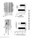 Fig. 16 - Methods and compositions for inhibiting retinopathy of prematurity