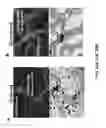 Fig. 45 - Methods and compositions for inhibiting retinopathy of prematurity