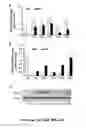 Fig. 47 - Methods and compositions for inhibiting retinopathy of prematurity