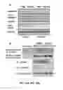 Fig. 54 - Methods and compositions for inhibiting retinopathy of prematurity