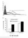 Fig. 63 - Methods and compositions for inhibiting retinopathy of prematurity