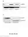 Fig. 66 - Methods and compositions for inhibiting retinopathy of prematurity