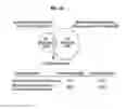 Fig. 07 - Method and composition for diagnosis or treatment of aggressive prostate cancer