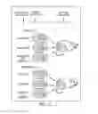 Fig. 29 - Method and composition for diagnosis or treatment of aggressive prostate cancer