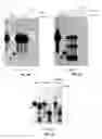 Fig. 08 - EXTRACELLULAR VESICLE METHODS AND COMPOSITIONS