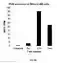 Fig. 22 - EXTRACELLULAR VESICLE METHODS AND COMPOSITIONS