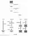 Fig. 24 - EXTRACELLULAR VESICLE METHODS AND COMPOSITIONS