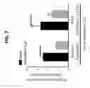 Fig. 08 - COMPOSITIONS AND METHODS OF USING SAME FOR REDUCING RESISTANCE TO MOSQUITO LARVICIDES