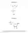 Fig. 12 - METHODS AND MODIFICATIONS THAT PRODUCE ssRNAi COMPOUNDS WITH ENHANCED ACTIVITY, POTENCY AND DURATION OF EFFECT