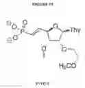 Fig. 15 - METHODS AND MODIFICATIONS THAT PRODUCE ssRNAi COMPOUNDS WITH ENHANCED ACTIVITY, POTENCY AND DURATION OF EFFECT