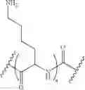 Fig. 17 - Methods for treating cancer using nucleic acids targeting MDM2 or MYCN