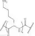 Fig. 18 - Methods for treating cancer using nucleic acids targeting MDM2 or MYCN