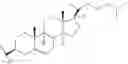 Fig. 26 - Methods for treating cancer using nucleic acids targeting MDM2 or MYCN
