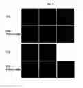 Fig. 05 - Composition for enhancing radiation sensitivity comprising PI4K isozyme inhibitor