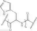 Fig. 15 - METHODS FOR TREATMENT OF DISORDERS IN THE FRONT OF THE EYE UTILIZING NUCLEIC ACID MOLECULES