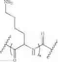 Fig. 17 - METHODS FOR TREATMENT OF DISORDERS IN THE FRONT OF THE EYE UTILIZING NUCLEIC ACID MOLECULES