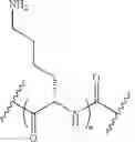 Fig. 18 - METHODS FOR TREATMENT OF DISORDERS IN THE FRONT OF THE EYE UTILIZING NUCLEIC ACID MOLECULES