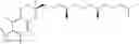 Fig. 30 - METHODS FOR TREATMENT OF DISORDERS IN THE FRONT OF THE EYE UTILIZING NUCLEIC ACID MOLECULES