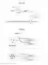 Fig. 08 - Translational control system using RNA-protein interaction motif