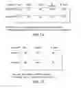 Fig. 16 - Methods and compositions for targeted gene modification