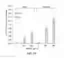 Fig. 21 - Methods and compositions for targeted gene modification
