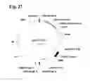 Fig. 14 - Chloroplast transit peptides
