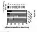 Fig. 09 - METHODS AND APPARATUS FOR TRANSFORMATION OF NATURALLY COMPETENT CELLS
