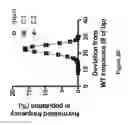 Fig. 11 - METHODS AND APPARATUS FOR TRANSFORMATION OF NATURALLY COMPETENT CELLS