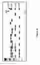 Fig. 19 - METHODS AND APPARATUS FOR TRANSFORMATION OF NATURALLY COMPETENT CELLS