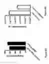 Fig. 23 - METHODS AND APPARATUS FOR TRANSFORMATION OF NATURALLY COMPETENT CELLS
