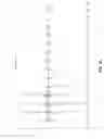 Fig. 15 - METHODS AND COMPOSITIONS FOR THE RECOMBINANT BIOSYNTHESIS OF N-ALKANES