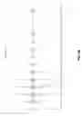 Fig. 25 - METHODS AND COMPOSITIONS FOR THE RECOMBINANT BIOSYNTHESIS OF N-ALKANES